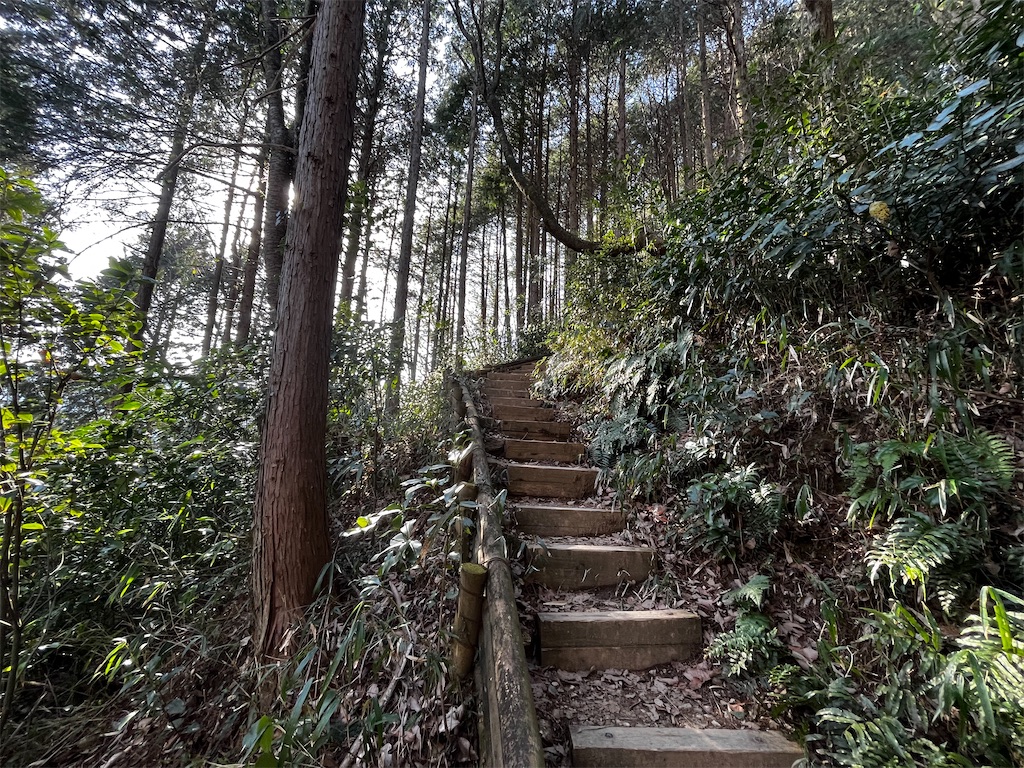 f:id:nasuko7:20230319155439j:image