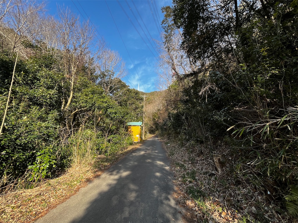 f:id:nasuko7:20230319155454j:image
