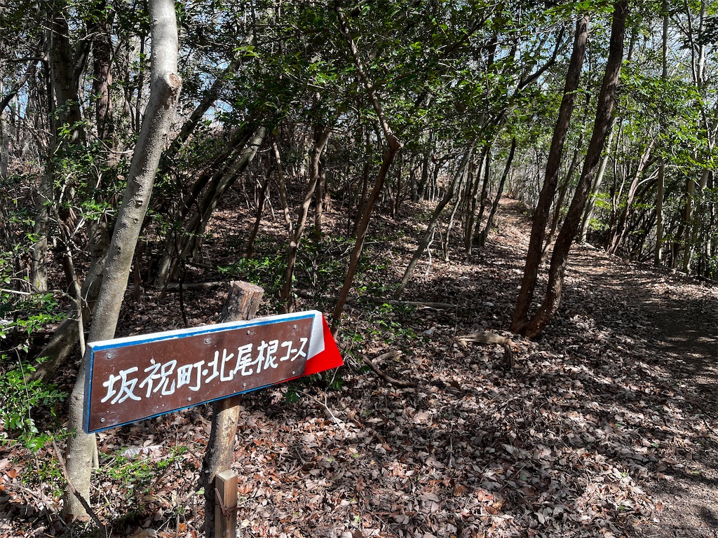 f:id:nasuko7:20230319155504j:image