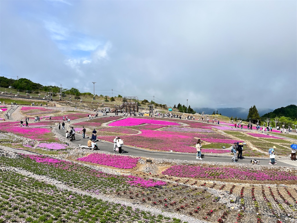 f:id:nasuko7:20230827055715j:image