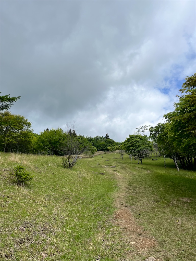f:id:nasuko7:20230827055752j:image