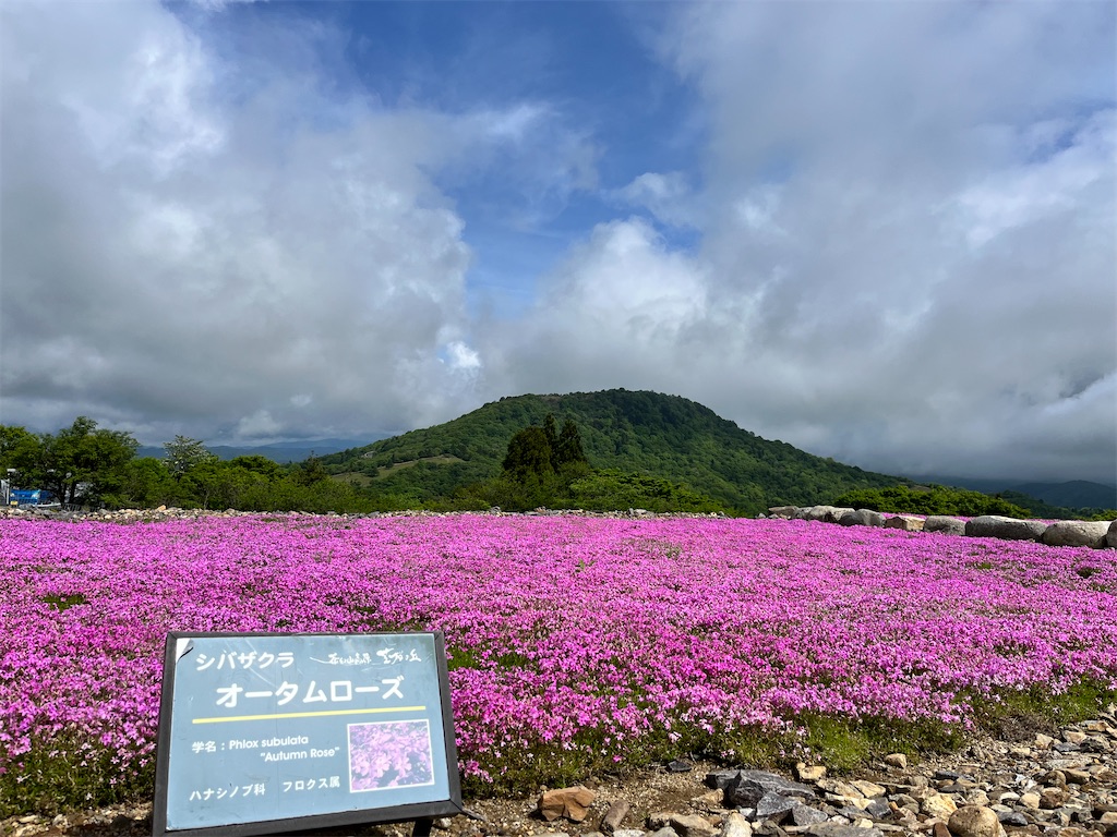 f:id:nasuko7:20230827055802j:image