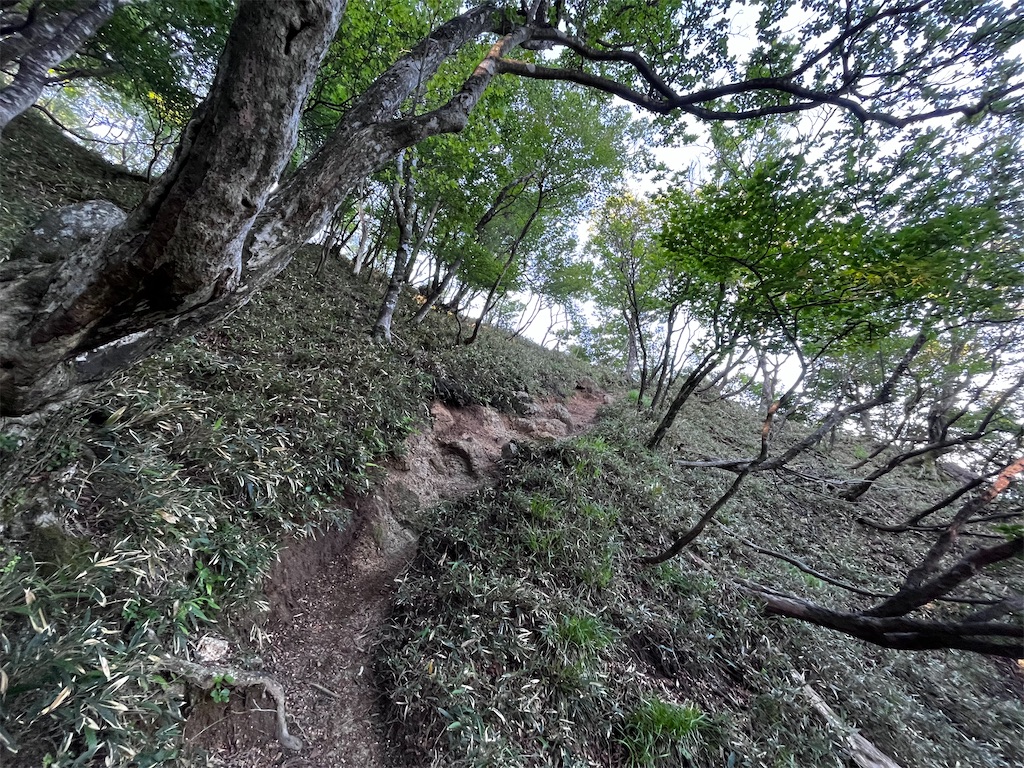 f:id:nasuko7:20230827072738j:image