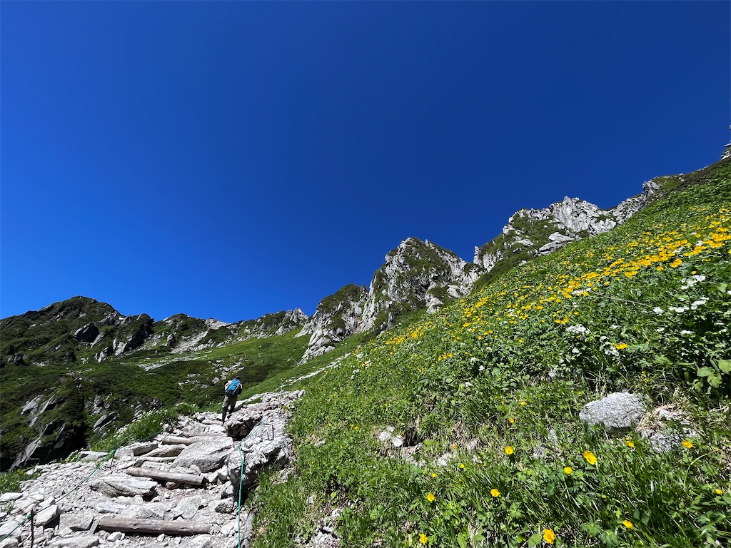 f:id:nasuko7:20230916154816j:image