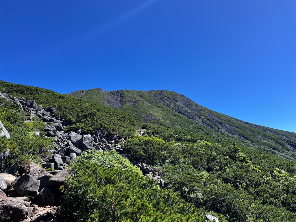 f:id:nasuko7:20230916212202j:image