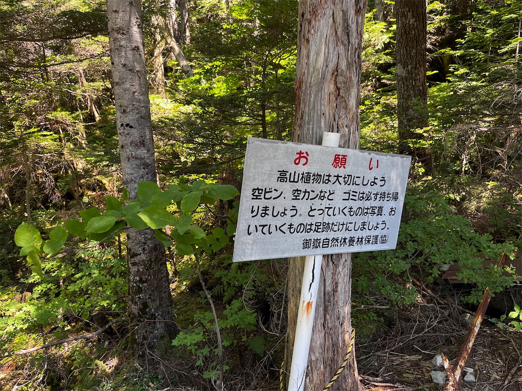f:id:nasuko7:20230916212237j:image