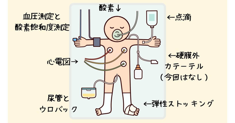 卵巣嚢腫、腹腔鏡手術、入院期間、費用、痛み、40代、ブログ、体験談