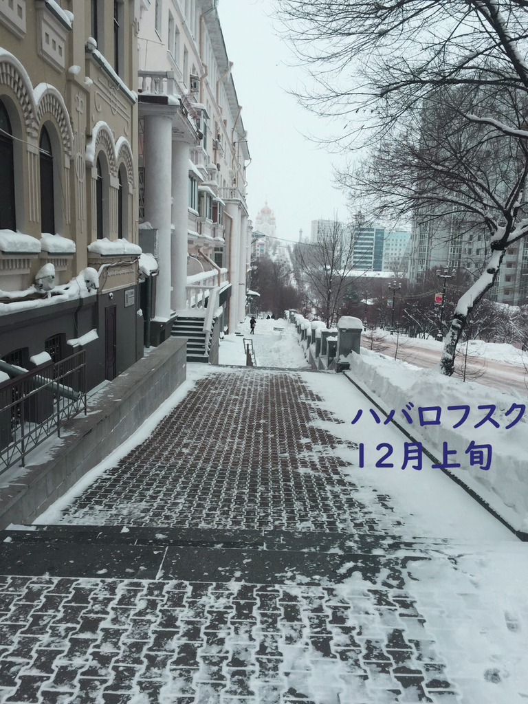 f:id:nasutotea:20181029220114j:plain