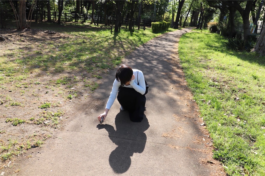 f:id:nasutoushi:20230411053841j:image