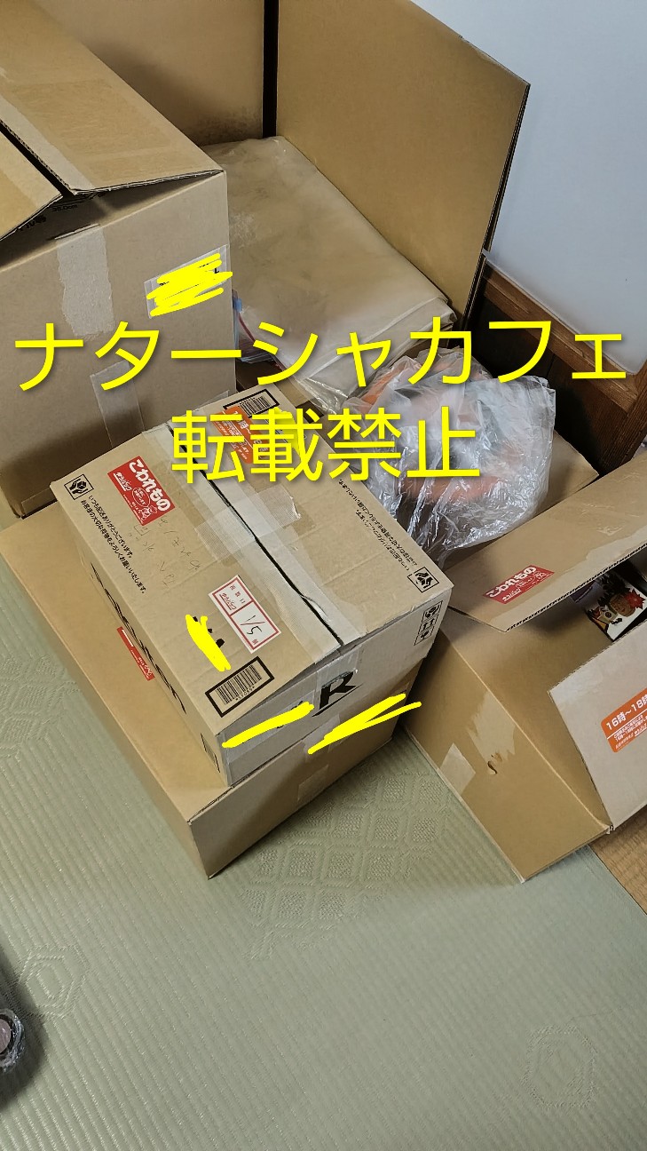 f:id:natashacafe:20260519180924j:image f:id:natashacafe:20260519180924j:image