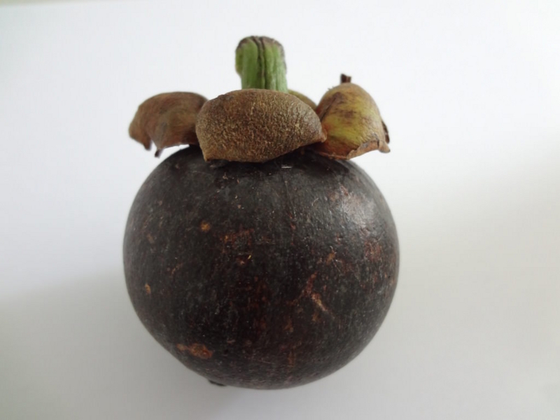 実物のマンゴスチン