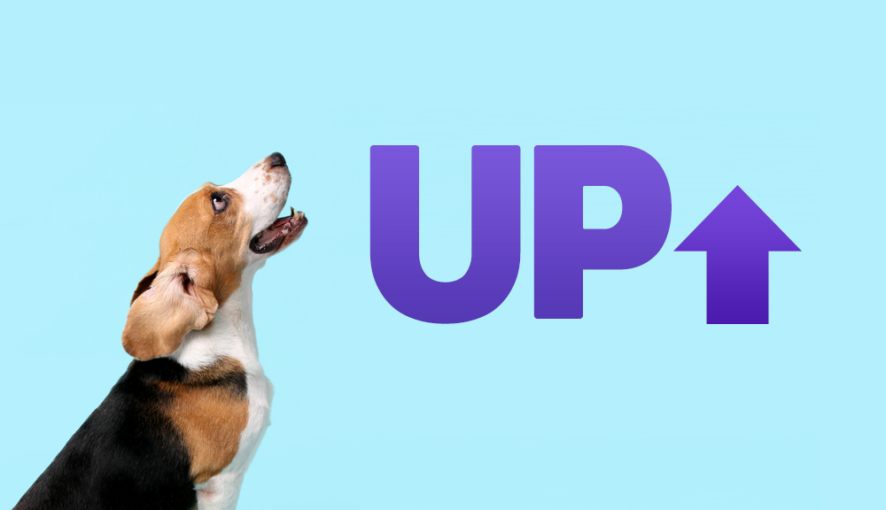 Up の使い方がぐんと上手にアップする 複数のイメージと例文を紹介します ネイティブキャンプ英会話ブログ