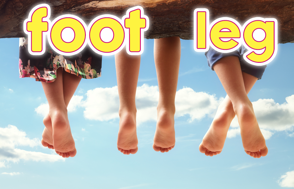 food、lef、ネイティブキャンプ