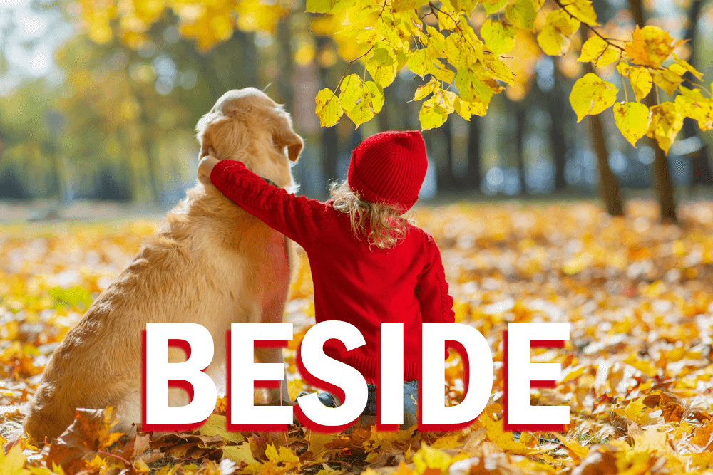 beside, オンライン英会話, ～のそば