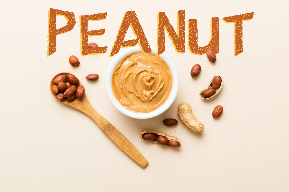 秋の旬の食材、「落花生」の英語表現とは！？ピーナッツとの違いやnuts  