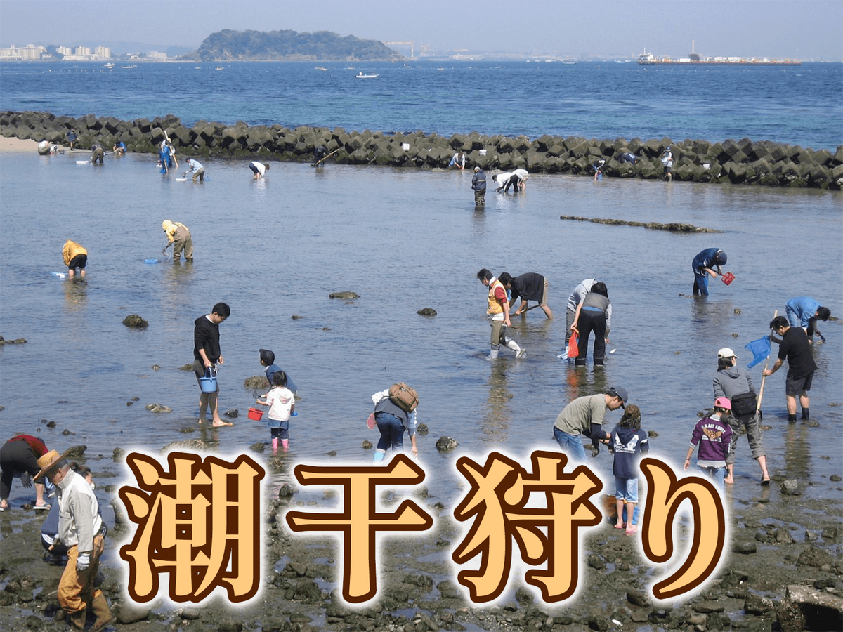 潮干狩り, オンライン英会話, ネイティブキャンプ