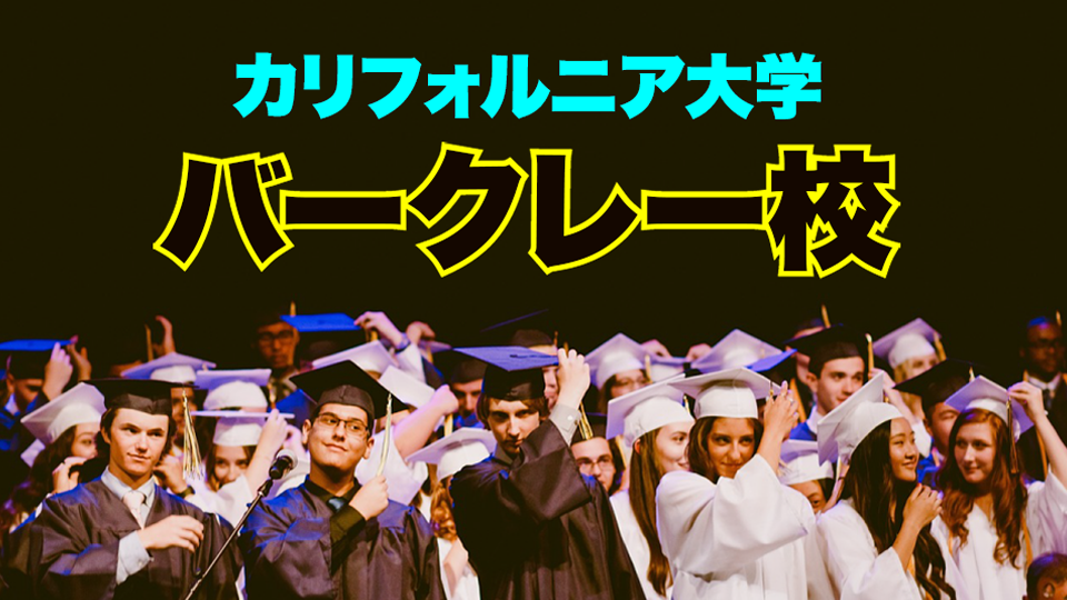 カリフォルニア大学バークレー校、ネイティブキャンプ、オンライン英会話