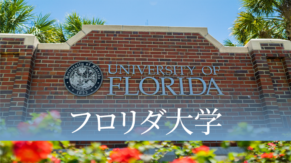 フロリダ大学、ネイティブキャンプ、オンライン英会話