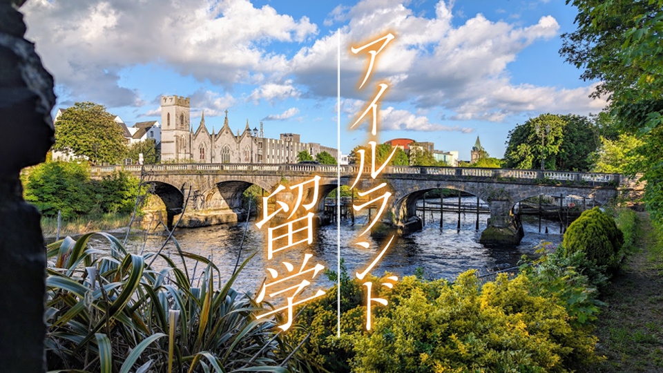 アイルランド、留学、ネイティブキャンプ