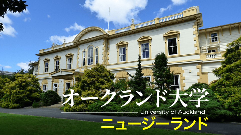 オークラン大学、ネイティブキャンプ、オンライン英会話