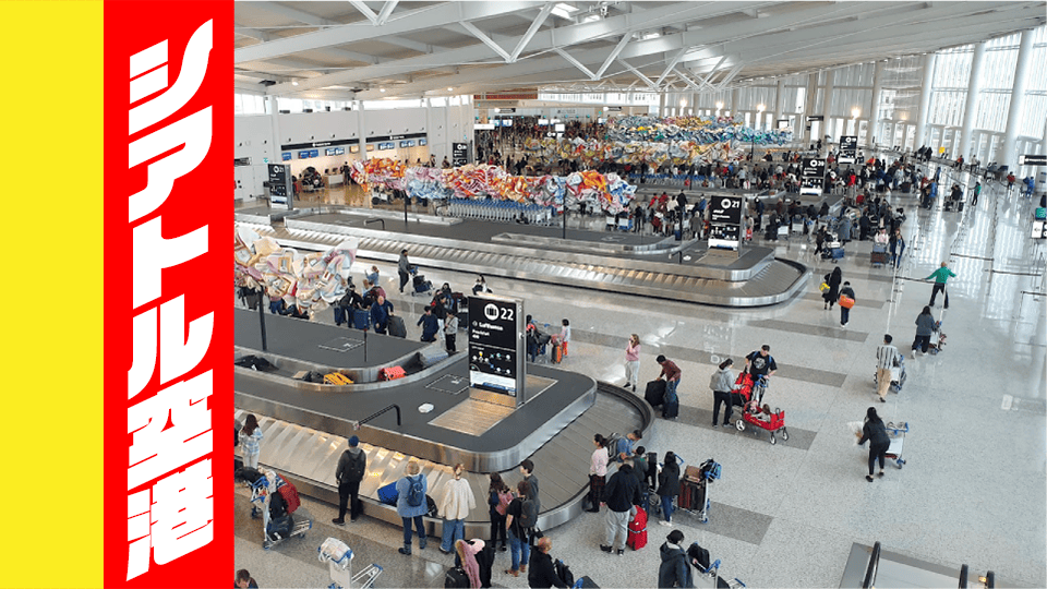 シアトル・タコマ国際空港、ネイティブキャンプ、オンライン英会話