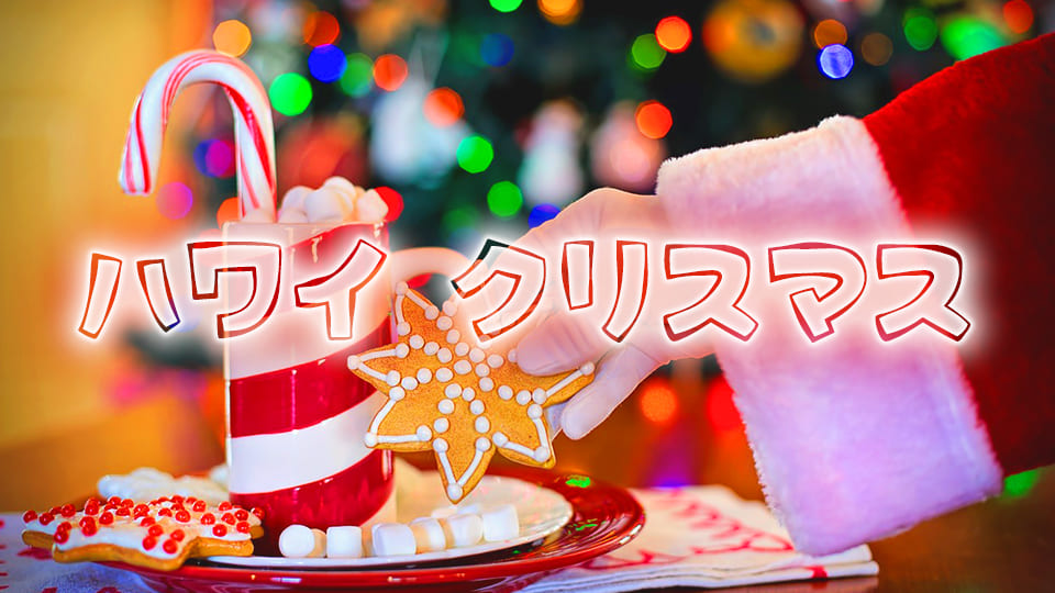 アメリカ、ハワイ、クリスマス、ネイティブキャンプ、オンライン英会話