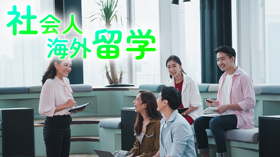 社会人、留学、ネイティブキャンプ