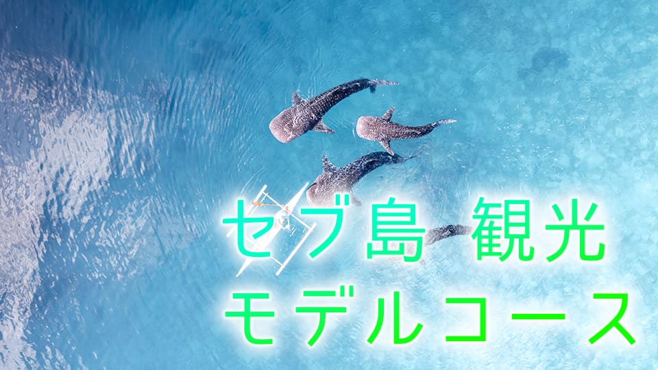 セブ、観光、モデルコース、ネイティブキャンプ、オンライン英会話