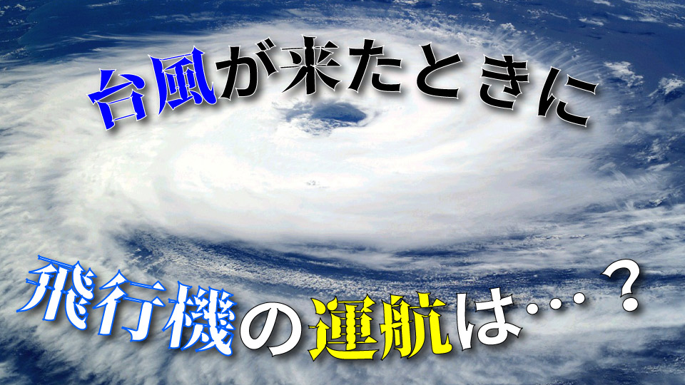台風、オンライン英会話、ネイティブキャンプ
