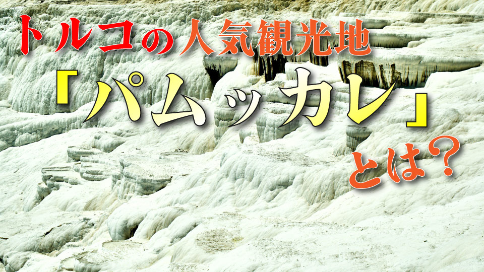 パムッカレ、オンライン英会話、ネイティブキャンプ