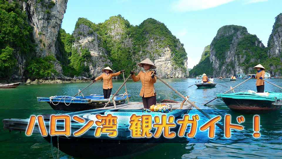 ハロン湾、オンライン英会話、ネイティブキャンプ