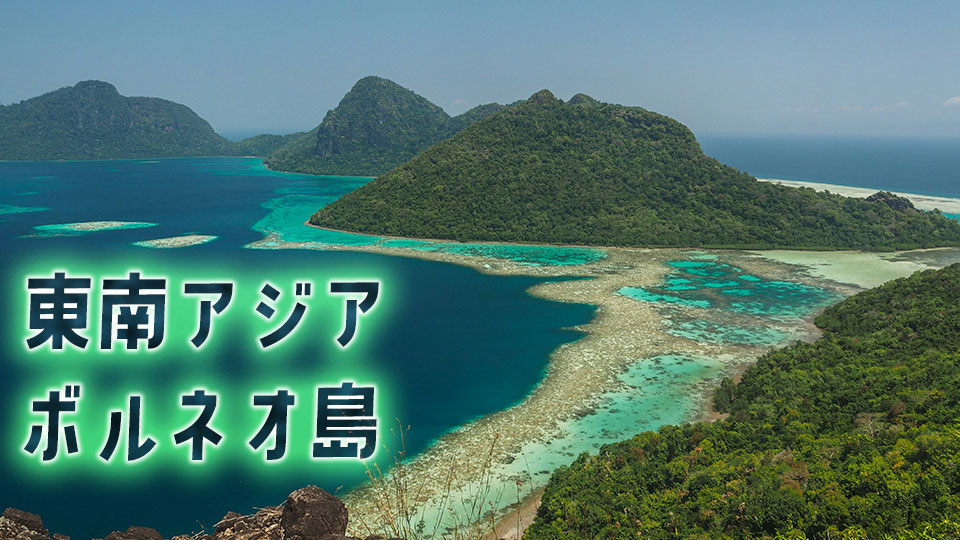 ボルネオ、オンライン英会話、ネイティブキャンプ