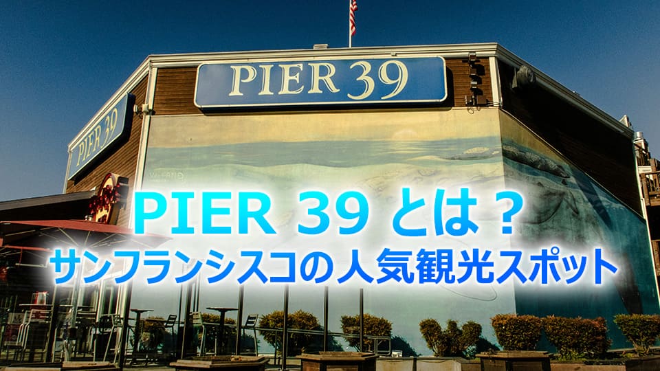サンフランシスコ、ピア39、ネイティブキャンプ、オンライン英会話