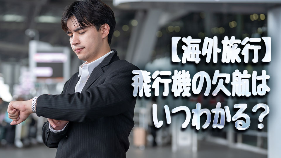 海外旅行、欠航、ネイティブキャンプ、オンライン英会話