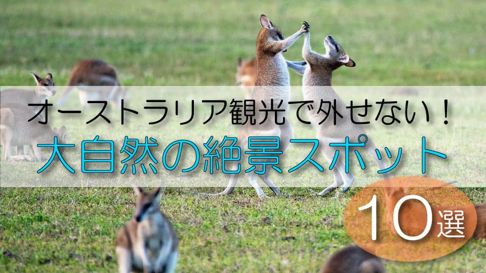 オーストラリア、観光、自然、ネイティブキャンプ、オンライン英会話