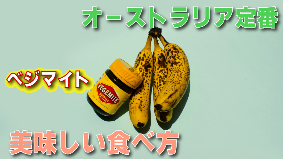 ベジトマト、オンライン英会話、ネイティブキャンプ