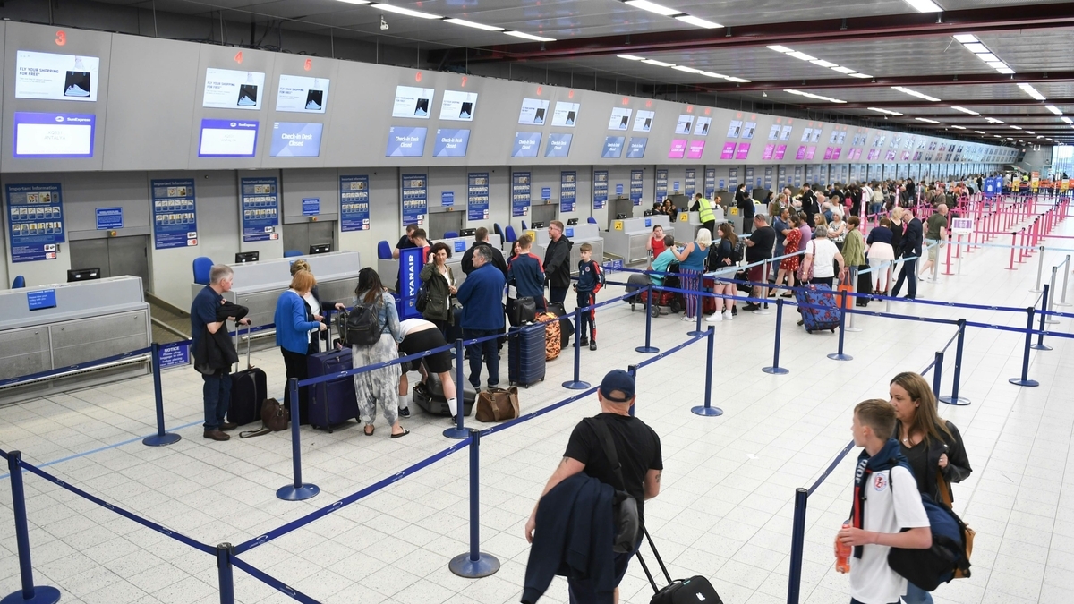 入国申告書、空港、職業欄、内容、書き方