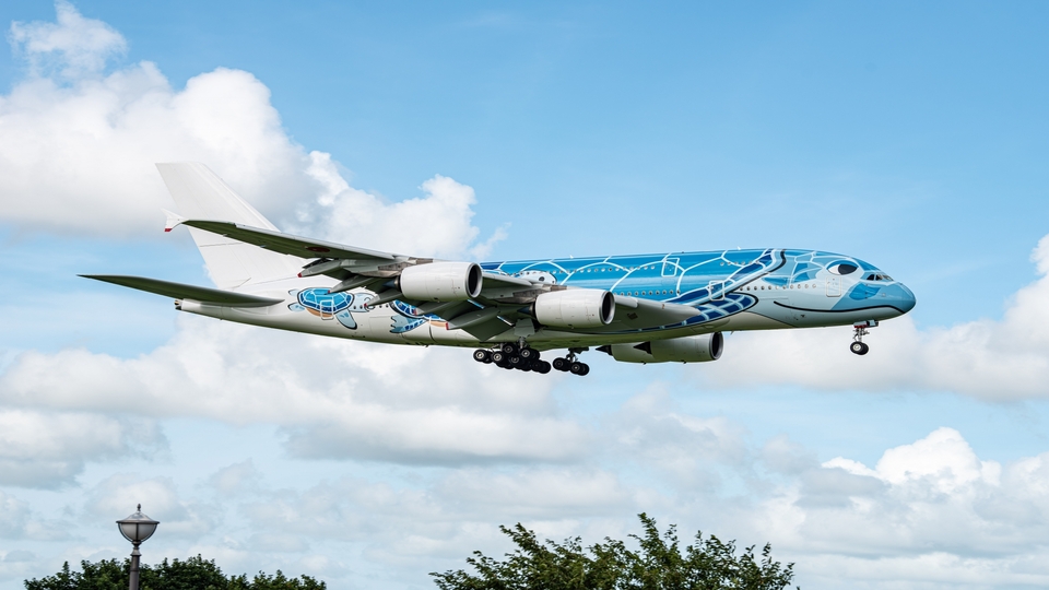 ANAのフライングホヌについて徹底ガイド！ハワイ行きA380の座席・機内
