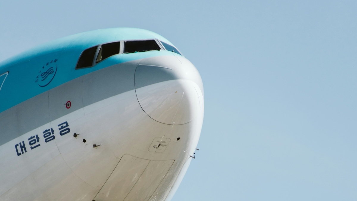 空を背景に、大韓航空の機首部分を斜め下から見上げたカット。鮮やかな水色の機体上部と、ハングルで「대한항공」と記された白い機首、コックピットの窓が克明に写し出されている