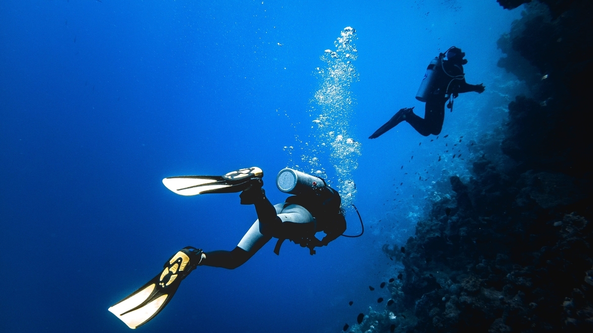青い海中で、酸素ボンベとフィンを装着した2人のダイバーが、魚の泳ぐ岩礁付近を進んでいる。