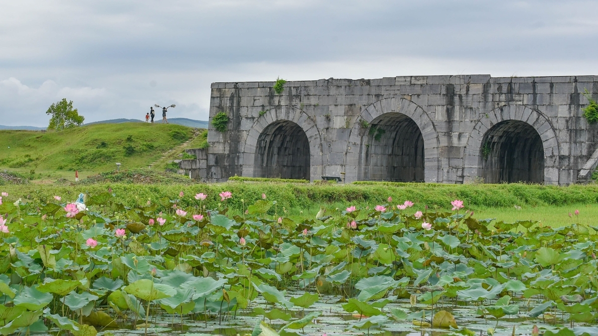 手前にはピンクの花が咲くハス池が広がり、その奥に3つのアーチ状の洞門を持つ巨大な灰色の石造城門が建っています。背景には緑豊かな丘が伸びています。