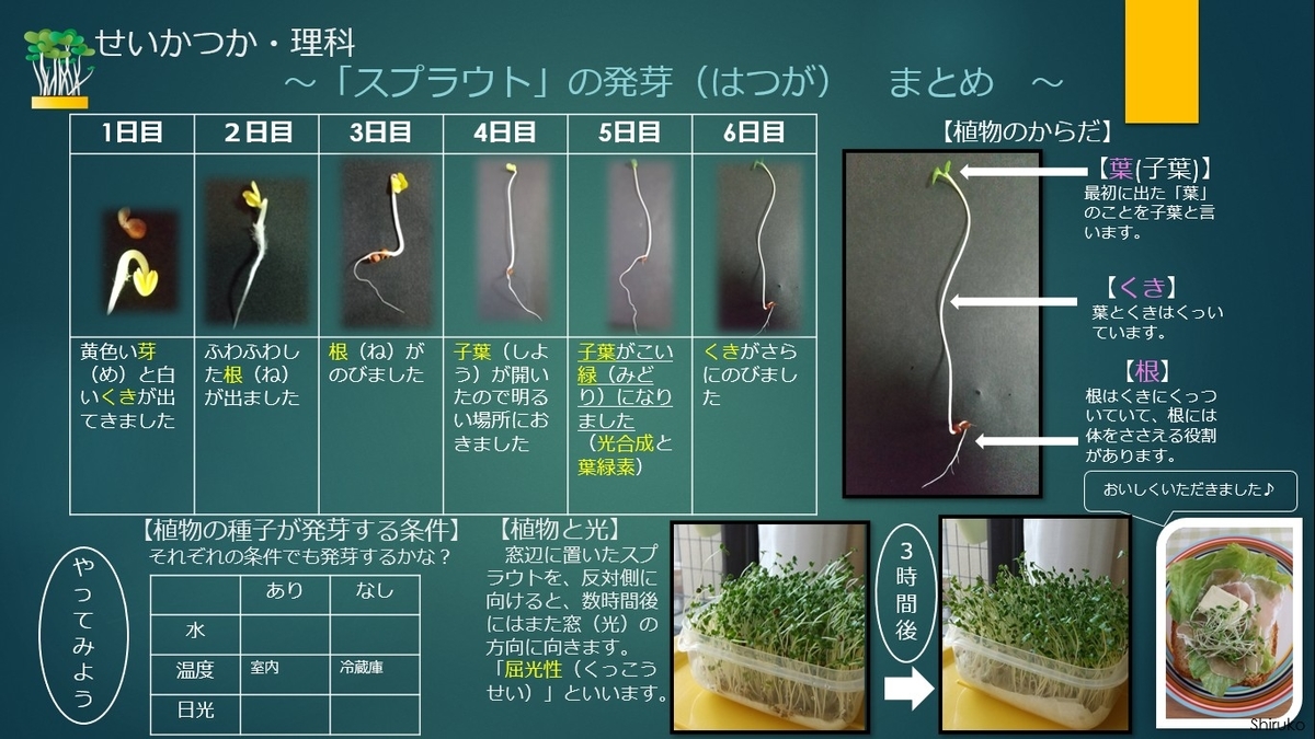 f:id:natokoyo40:20200526160350j:plain