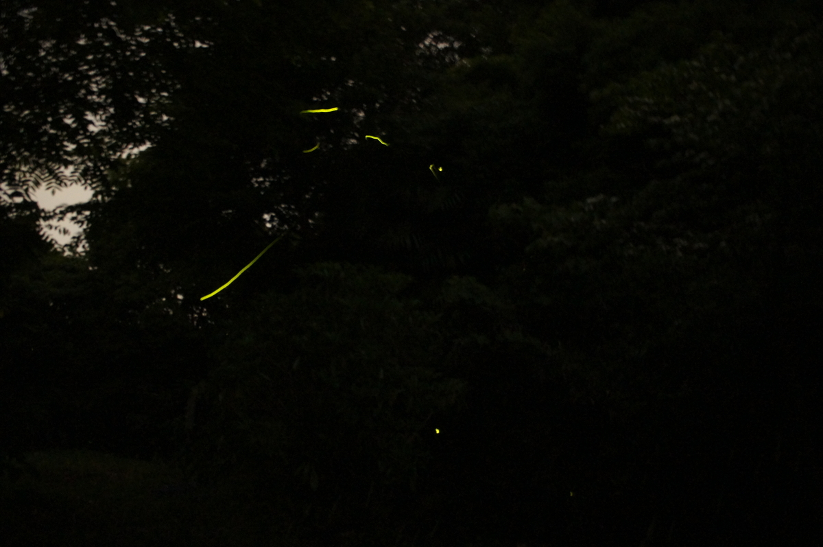 f:id:natokoyo40:20200622102834j:plain
