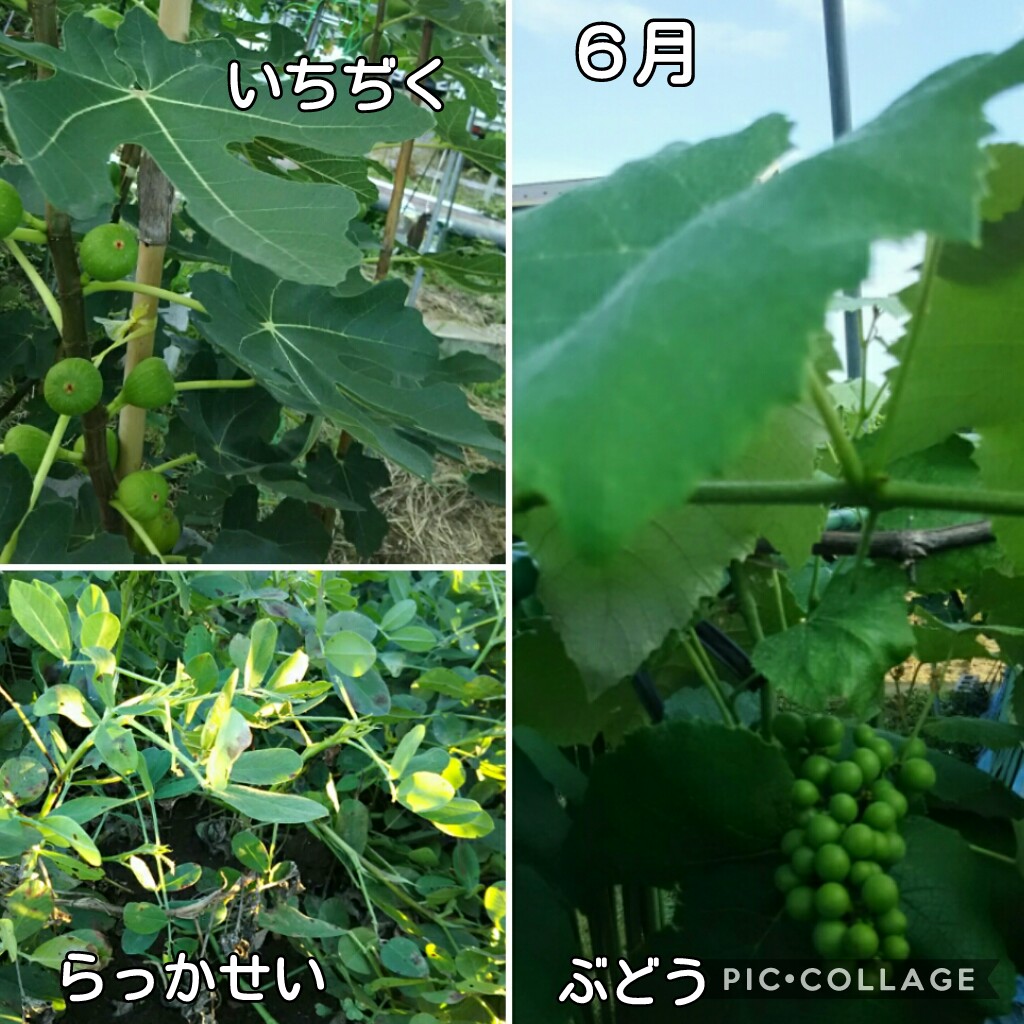 f:id:natokoyo40:20200713224353j:plain f:id:natokoyo40:20200713224353j:plain