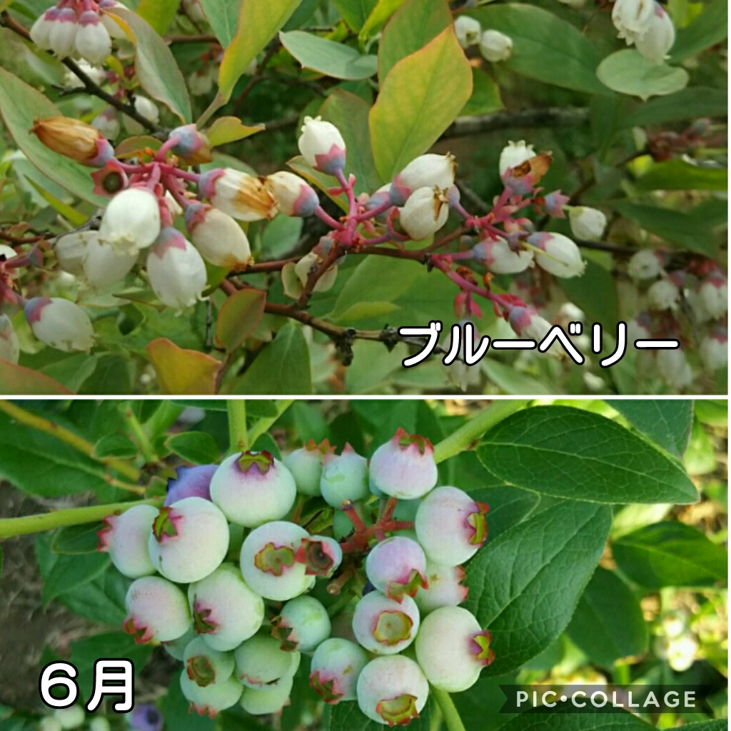 f:id:natokoyo40:20200713224414j:plain f:id:natokoyo40:20200713224414j:plain