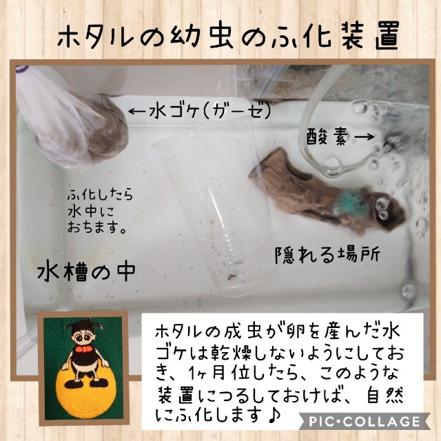 f:id:natokoyo40:20210821114036j:image