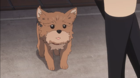 f:id:natori:20150304031006p:image