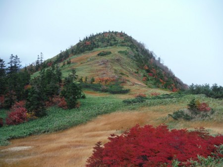 f:id:natsu-mio-pino:20131005113134j:image