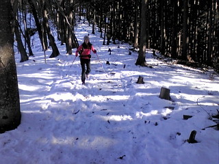 f:id:natsu-mio-pino:20131230134128j:image