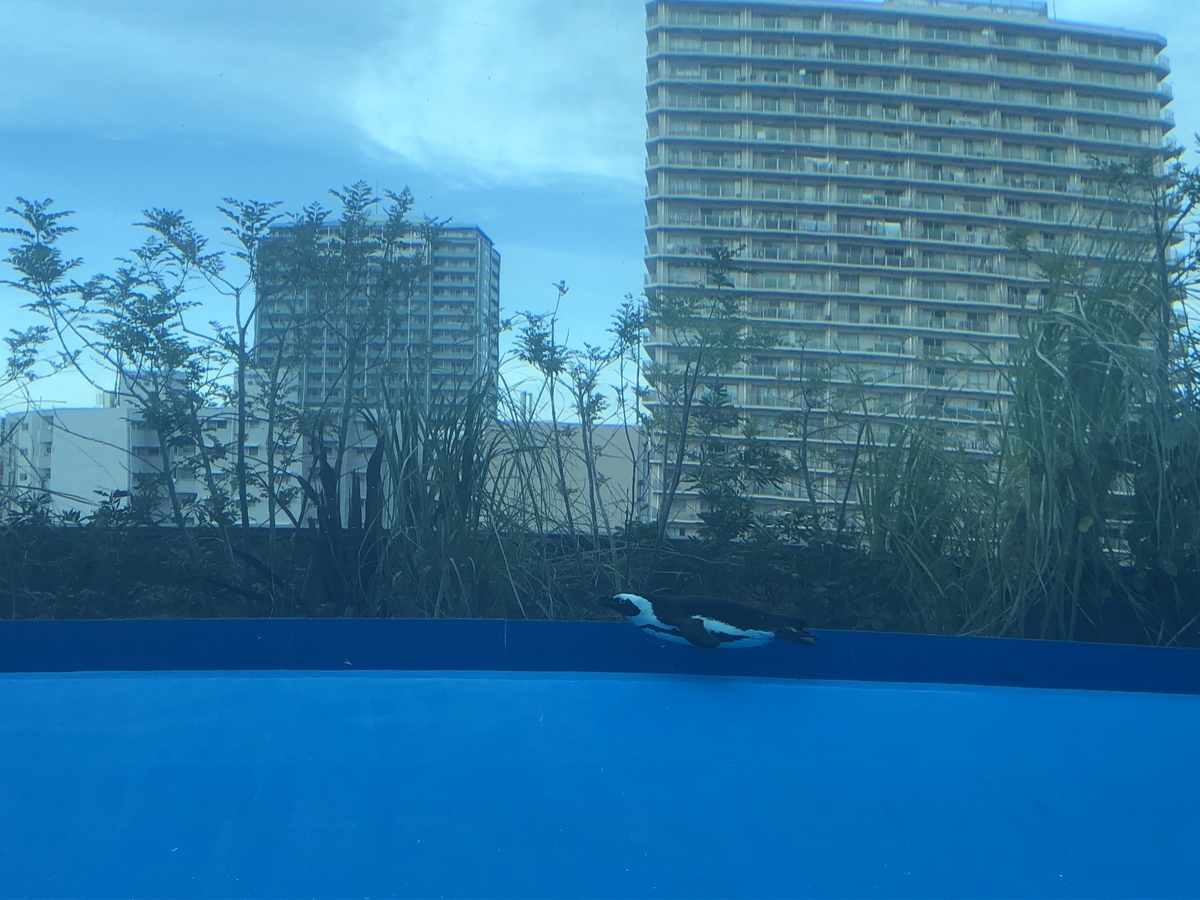 f:id:natsudoki2019:20190503175516j:plain f:id:natsudoki2019:20190503175516j:plain